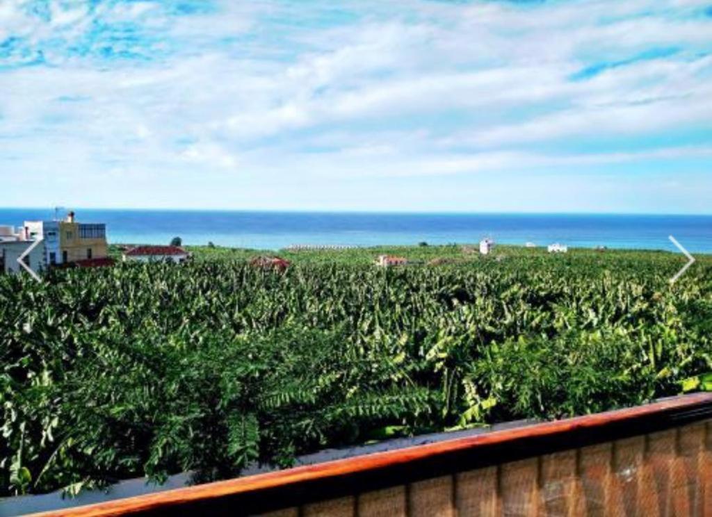 Apartamento El Tejar Tazacorte Buitenkant foto
